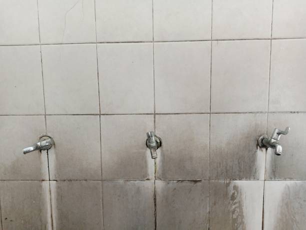 Best Sewage cleanup and water damage restoration  in Blountville, TN