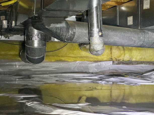 Best Water damage restoration company  in Blountville, TN