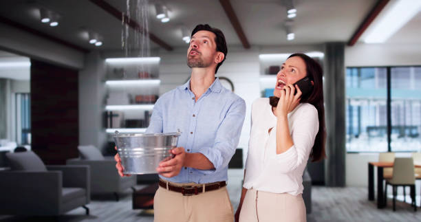 Best Flood restoration services  in Blountville, TN